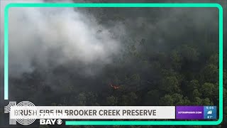 Brush fire in Brooker Creek Preserve 100 contained [upl. by Iy]