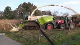 Maïs 2023  Claas Jaguar 960 Terra Trac  5x Massey Ferguson  4x Dezeure  muddy field  Verreth [upl. by Zamora763]