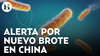 Especialistas advierten de una bacteria resistente a los antibióticos proveniente de China [upl. by Dedric942]