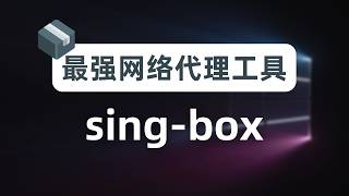 【瑞士军刀】放弃fakeip，拥抱realip，最强网络代理工具singbox新手指南，从此不知DNS泄漏DNS污染为何物，软路由插件homeproxy，奈飞DNS解锁、sniff流量嗅探覆写解析 [upl. by Bradly]