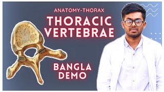 Typical Thoracic Vertebra Bangla DemonstrationThorax Card whiteapron thorax demonstration [upl. by Froma]