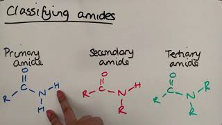 Amides [upl. by Giordano]