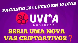 Uva Business 👉 Grana Na Conta  Mais50 RETORNOU Do Investimento 🔥 [upl. by Anailuj]