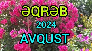 ƏQRƏB BÜRCÜ♏️ AVQUST 🌻 TAROPROQNOZ 2024 [upl. by Areem]