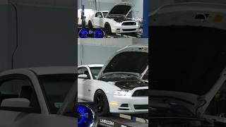 2013 Mustang GTCS Dyno latemodelresto shorts [upl. by Adachi]