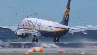 FULL HD Ryanair 737 Multiple BIRD STRIKES [upl. by Ginzburg834]