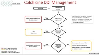 Colchicine CYP3A4  PGP inhibitors Decision Support Webinar Discussion [upl. by Dazhahs700]