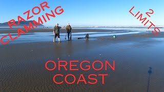 Hunting For Razor Clams on the Oregon Coast razorclams oregonbeach clamminoregon [upl. by Hali]