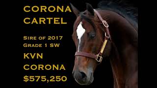 2018 Corona Cartel Breedings Available [upl. by Ainahs]