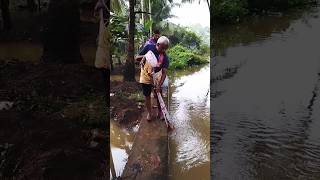 The real fish catch😂shortsvideo agriculture fishing [upl. by Mozes]