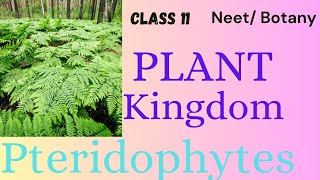 NEET PLANT KINGDOM UNCOVER THE KNOWLEDGE OF PTERIDOPHYTES CLASS11 neet plantsphysicswallah [upl. by Sirrom]