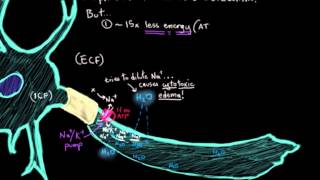 Khan Academy  The Ischemic Cascade in Stroke [upl. by Outlaw]