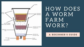 How Does a Worm Farm Work Plus Tips [upl. by Schlenger]