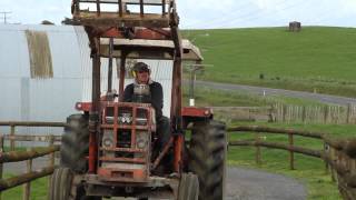 The New Zealand Farming Story Tackling Agricultural Emissions [upl. by Lirva941]