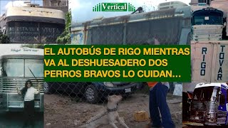 EL AUTOBÚS DE RIGO MIENTRAS VA AL DESHUESADERO DOS PERROS BRAVOS LO CUIDAN [upl. by Anaidni461]