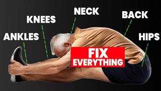 3 Exercises that Fix 90 of Problems for Ages 60 [upl. by Eirelav970]