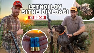 Letnji lov Prepelica  Summer Quail hunting  TRAILER E210 [upl. by Lahcar]