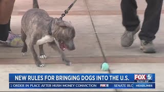 New rules for bringing dogs into US [upl. by Llireva]