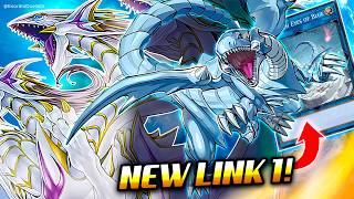 NEW BLUEEYES LINK❗ BlueEyes Deck Post Avent of BlueEyes  Exordio [upl. by Aehtorod]