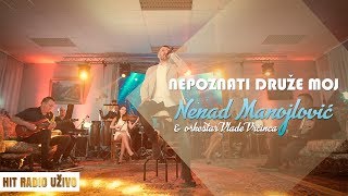 Nenad Manojlovic  Nepoznati druze moj orkestar Vlade Vrcinca [upl. by Stephani62]