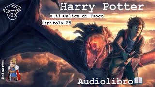 Audiolibro  Harry Potter e il calice di fuoco  Lettura e Commento Cap 25 [upl. by Arodnap]