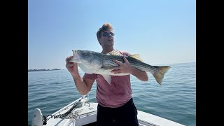 Massive Southern Maine Striped Bass ActionCaptain Goes off the Rail TRIPS ON THE BOAT S4 E10 [upl. by Leumas]