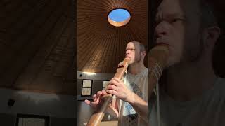 Black Walnut Drone Flute key of E 432hz [upl. by Raffaj]