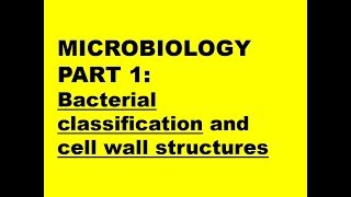 MICROBIOLOGY PART 1 Bacteria classification  cell wall structure [upl. by Eimorej]