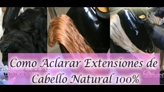 COMO TEÑIR DAR COLOR Y DECOLORAR EXTENSIONES CLASE MAGISTRAL NIEVES MARQUES [upl. by Llevrac]