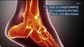 Optimizing surgical indications for posterior malleolus fracture based on ankle rotational stability [upl. by Ot]