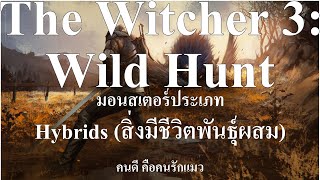 The Witcher 3 Wild Hunt ข้อมูลมอนสเตอร์ประเภทHybridsสิ่งมีชีวิตพันธุ์ผสม [upl. by Cirilo130]