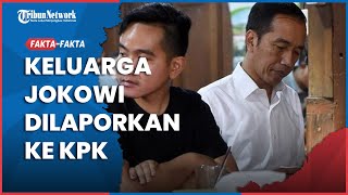 Faktafakta Keluarga Jokowi Dilaporkan ke KPK Dugaan Nepotisme [upl. by Enehpets]