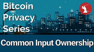 Bitcoin Privacy Series 7  Common Input Ownership Heuristic [upl. by Haym]