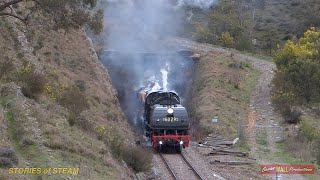 Australian Beyer Garratt 6029  load trial  September 2014 [upl. by Nareik395]