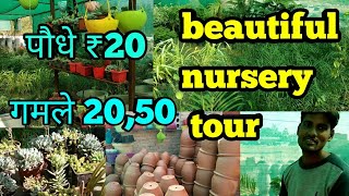 beautiful nursery tour पौधे ₹20 गमले ₹20 ₹50plants with priceanveshas creativity [upl. by Analat]