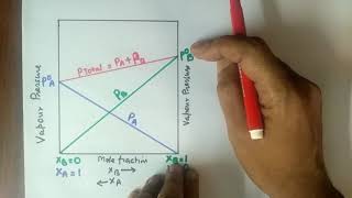 Raoults Law Ideal Solution Solutions of volatile liquids Vapour Pressure amp Mole Fraction Solutio [upl. by Starks582]