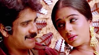 Thinkal Kalamugamulla Sundhara  New Malayalam Movie Song  LAHALA  ലഹള   Nagarjuna amp Priya Mani [upl. by Jacey]