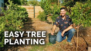 How to Plant Fruit Trees The Complete Guide [upl. by Ludovico]