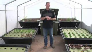 Aquaponics Garden Kits for Your Backyard [upl. by Miksen]