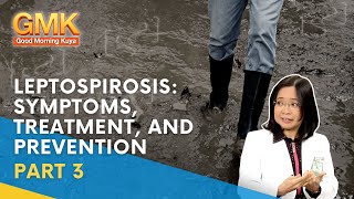 Leptospirosis Symptoms Treatment and Prevention Part 3  Usapang Pangkalusugan [upl. by Ching3]