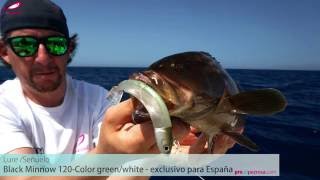 Pesca a Spinning de Abadejos con Black Minnow Edicion España [upl. by Akitan]