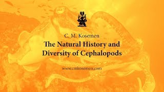 C M Kosemen The Natural History and Diversity of Cephalopods [upl. by Granny]