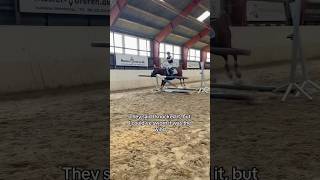 Im sure it was the wind 🌪️ horse horses pony rider riding equestrian cheval pferde hest [upl. by Narba]