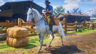 TROUVER LE NOUVEAU CHEVAL BLANC TACHETÉ RED DEAD REDEMPTION 2 [upl. by Backer]