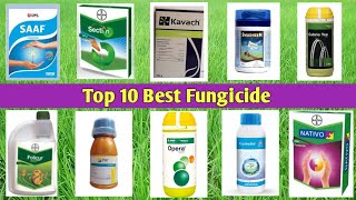 Top 10 Best Fungicide [upl. by England]