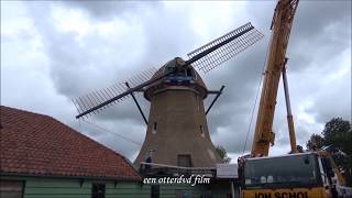 Roede steken bij molen de Paauw Nauerna 16 juni 2017 [upl. by Calabrese805]