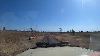 VR Wildlife Safari trip  Photos of Africa livestreamnature PhotosofAfrica 360ImageFilm [upl. by Aruol256]