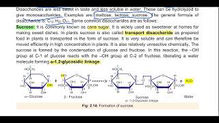 Oligosacchrides Disacchrides Sucrose Maltose Lactose 11th Biology biomolecules [upl. by Eelymmij]