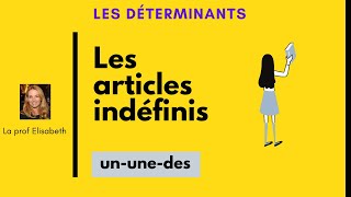 Les articles indéfinis en français Niveau A1 de FLE [upl. by Ehr169]