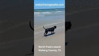 Fishing On North Padre Island In Kleberg County Texas fishing northpadreisland doglover [upl. by Abagail]